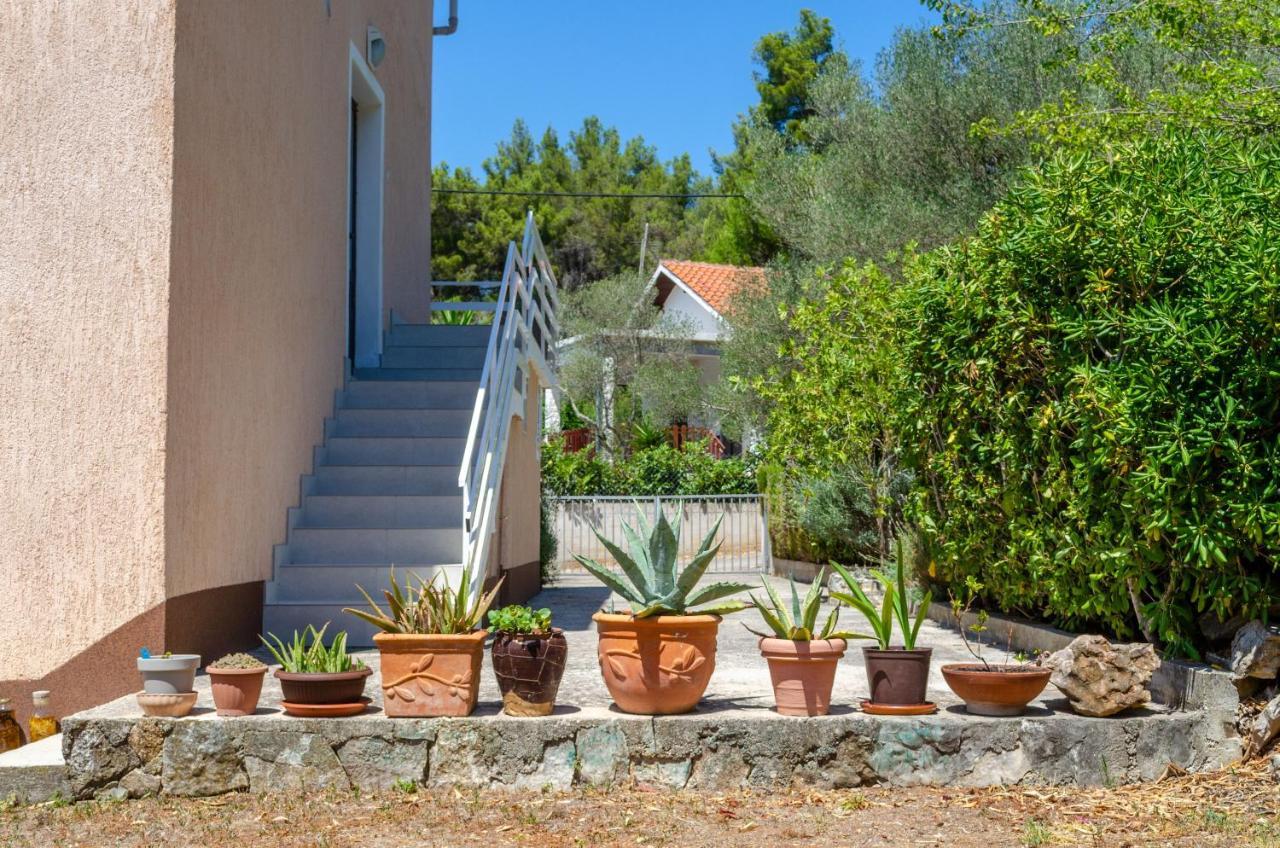 Apartment Tanja Vela Luka Eksteriør bilde