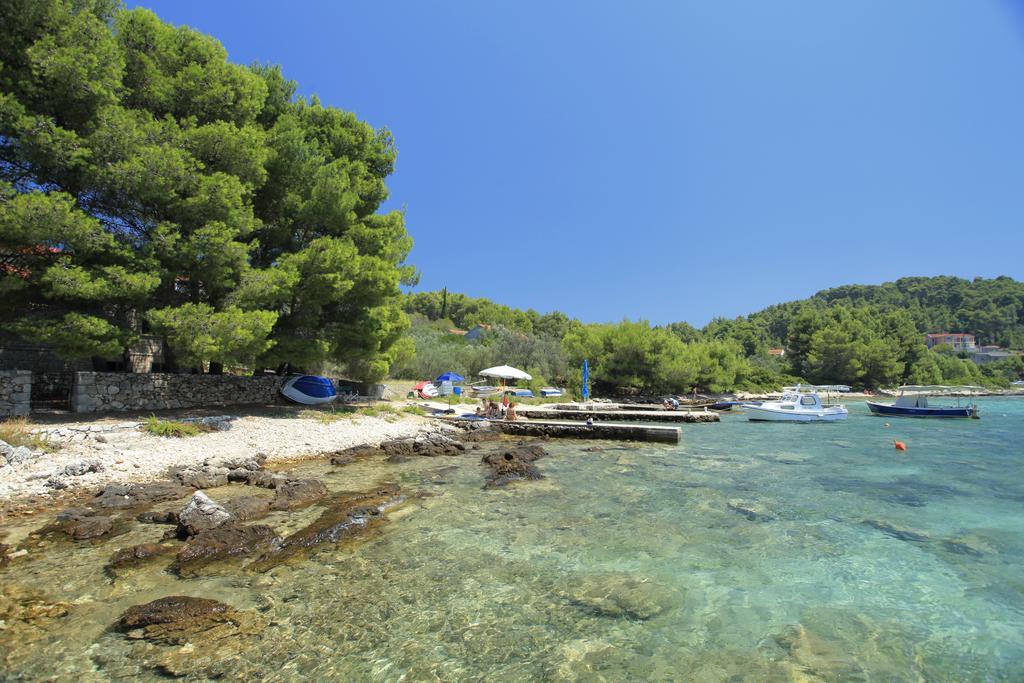 Apartment Tanja Vela Luka Rom bilde
