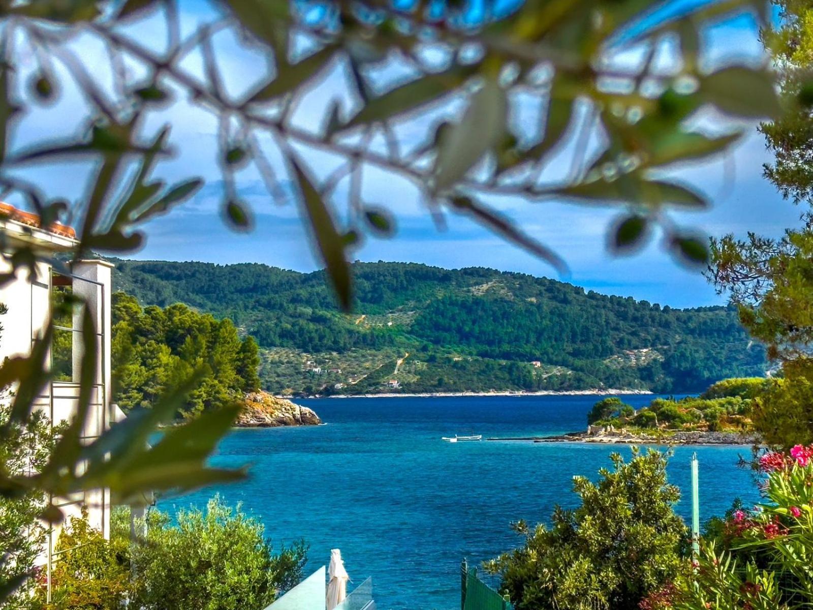 Apartment Tanja Vela Luka Eksteriør bilde