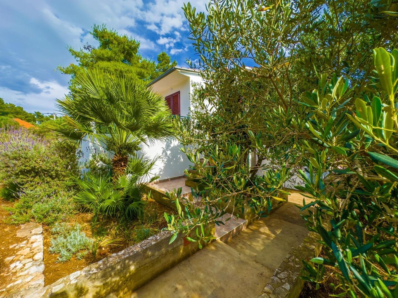 Apartment Tanja Vela Luka Eksteriør bilde
